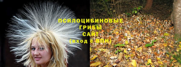 ешки Баксан